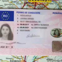 Ce au pățit doi bărbați după ce și-au cumpărat permise false de pe net. Unul avea 4 clase - Foto: Vountar Europa / imagine rol ilustrativ