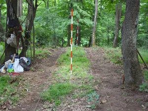 Un cimitir dacic și artefacte din fier, bronz şi argint , descoperite pe Măgura Şimleului - Foto: Muzeul Judeţean de Istorie şi Artă - Zalău