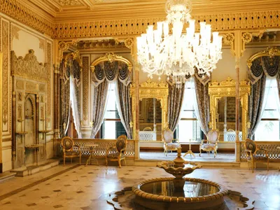 Plata Regal - Foto: Pexels (Imagine cu rol ilustrativ)