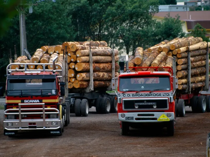 Lemne de foc la prețuri duble față de cele cerute de Guvern. Comercianții se plâng că nu fac profit - FOTO: Profimedia