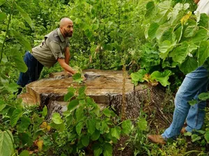 Un europarlamentar atenționează: „România riscă o amendă de 100.000 de euro pe zi”. Care e motivul/FOTO: ziaruldeiasi.ro