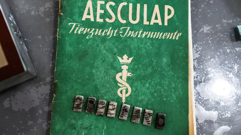 Memorialul Holocaustului: "kit de tatuaje de la Auschwitz", puțin probabil să fi fost folosită/FOTO: Reuters
