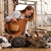 Crescătorii de animale au interzis să facă asta de la 1 ianuarie 2027. S-a votat legea - Foto: Freepik.com (rol ilustrativ)