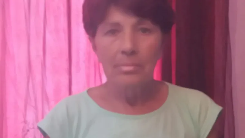 Viorica Dumitru. FOTO: Arhiva personală
