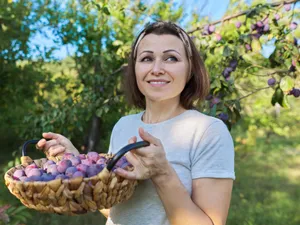 Fructul din copac, zemos și plin de vitamine. Slăbește și curăță colonul din câteva guri  - Foto: Freepik