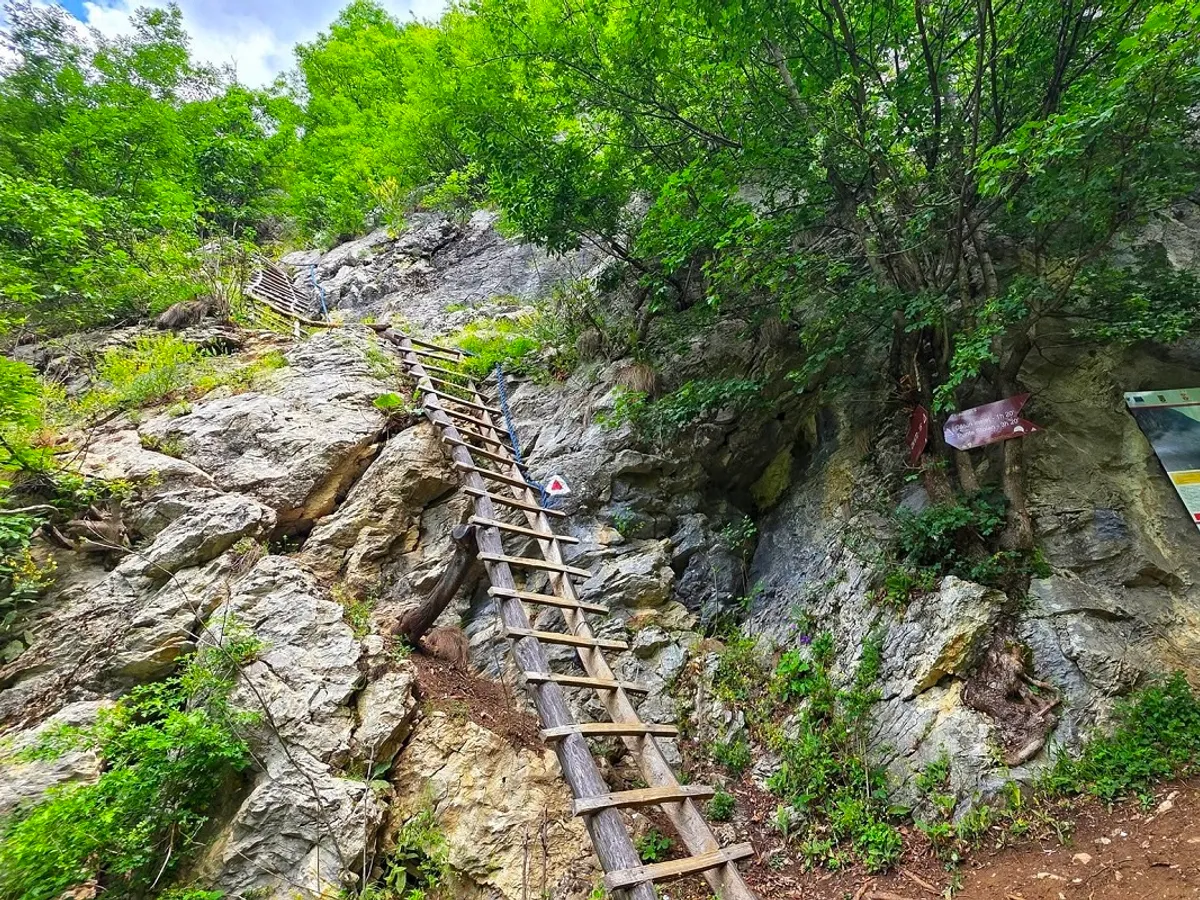 scara acces Ineleț