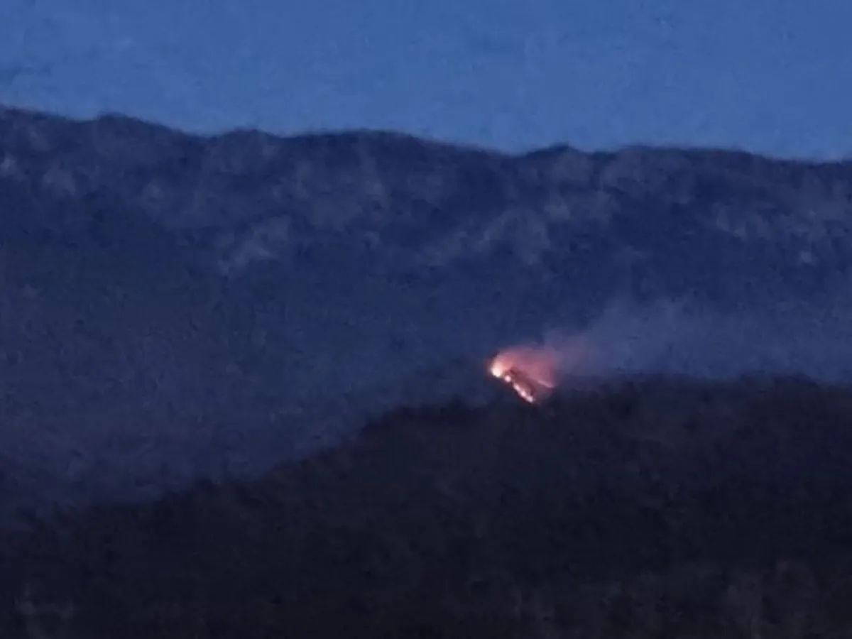 Incendiu de vegetație în zona Moeciu - Foto: A3