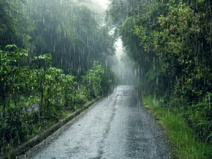 Meteo. Zeci de localități, afectate de grindină. Ce le-ar fi putut salva? - Foto: Freepik (rol ilustrativ)