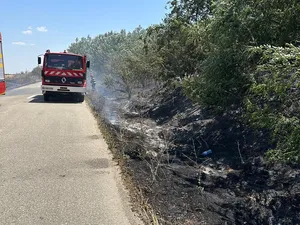 Incendiu de vegetație la marginea Craiovei. Focul s-a extins într-un parc de distracții - Foto: Facebook/ISU Dolj - Caracter  ilustrativ