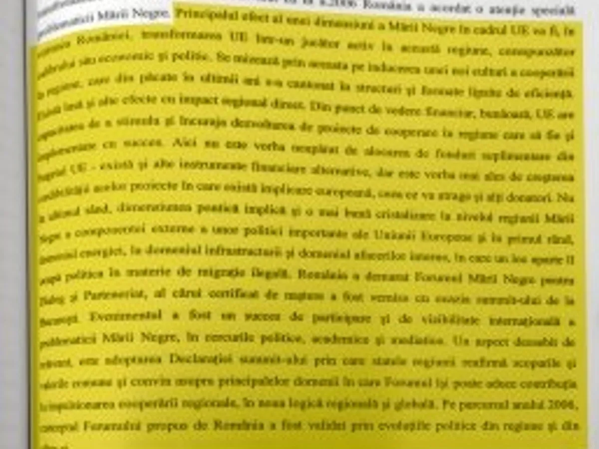 Plagiat Iordache