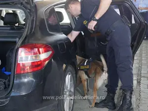 „Provizii” pentru UNTOLD, „mirosite” de Cima: droguri, gaze lacrimogene, veste anti-înjunghiere. / Foto: politiadefrontiera.ro