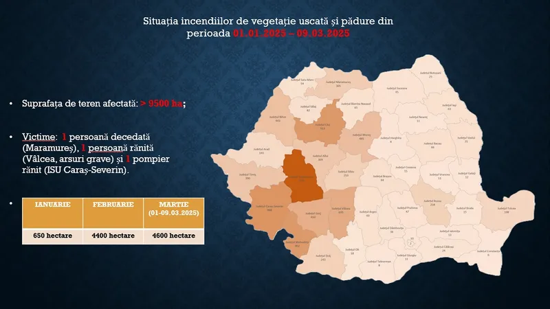 Incendii masive de vegetație în România. Arafat cere ajutorul preoților - Foto: IGSU