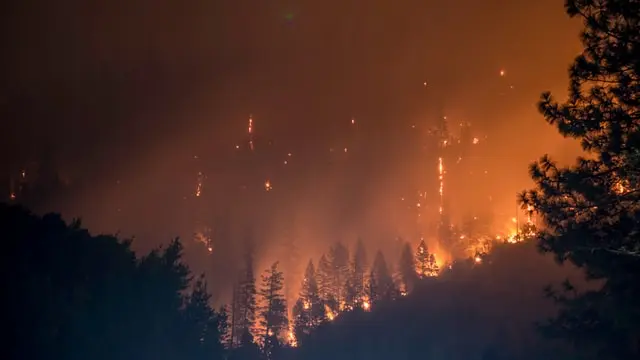 Un pompier a murit și 1.000 de persoane evacuate după izbucnirea unui incendiu de pădure în Spania/FOTO: Unsplash