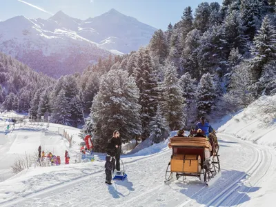 Crăciun în Bucovina. Turiștii, plimbați cu sania trasă de cai și delectați cu bucate tradiționale - Foto: Profimedia images - Caracter ilustrativ