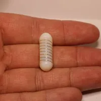 Designul pilulei a fost inspirat de pielea care elimină apa a șopârlei diavolului spinos din Australia. Foto: NYUAD