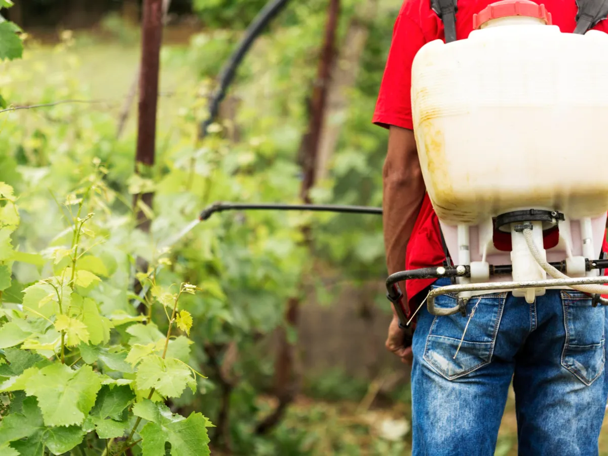Erbicidare - Foto: Freepik