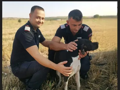 Salvare miraculoasă a unei cățelușe dintr-o fântână adâncă de 12 metri-Foto: Facebook- Breaking News Giurgiu