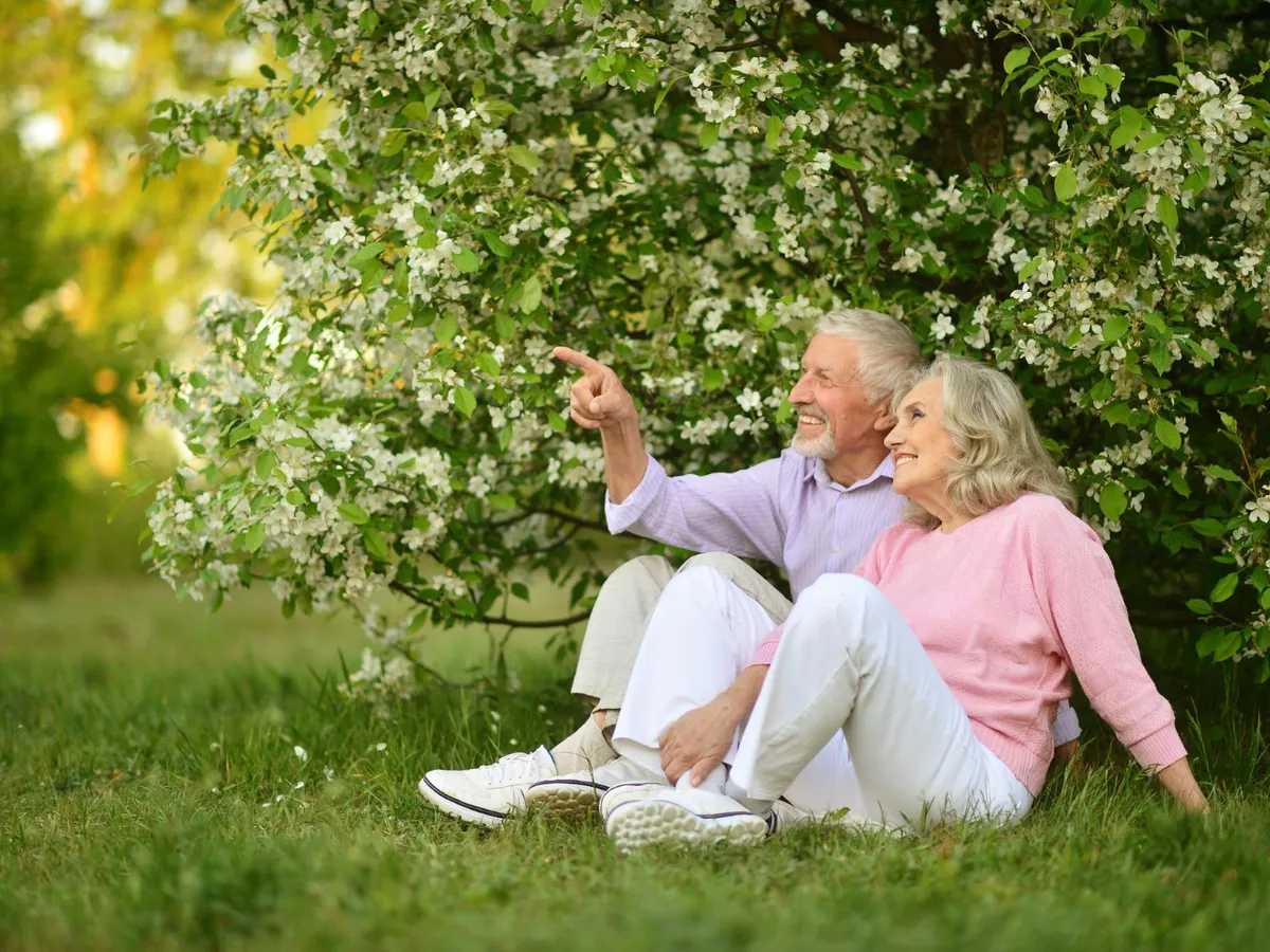 Pensionari Foto: Freepik (imagine cu rol ilustrativ)