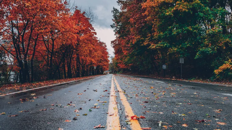 Ploi și furtuni în Europa. Care sunt țările cel mai tare afectate de schimbările climatice foto: Pexels (fotografie cu caracter ilustrativ)