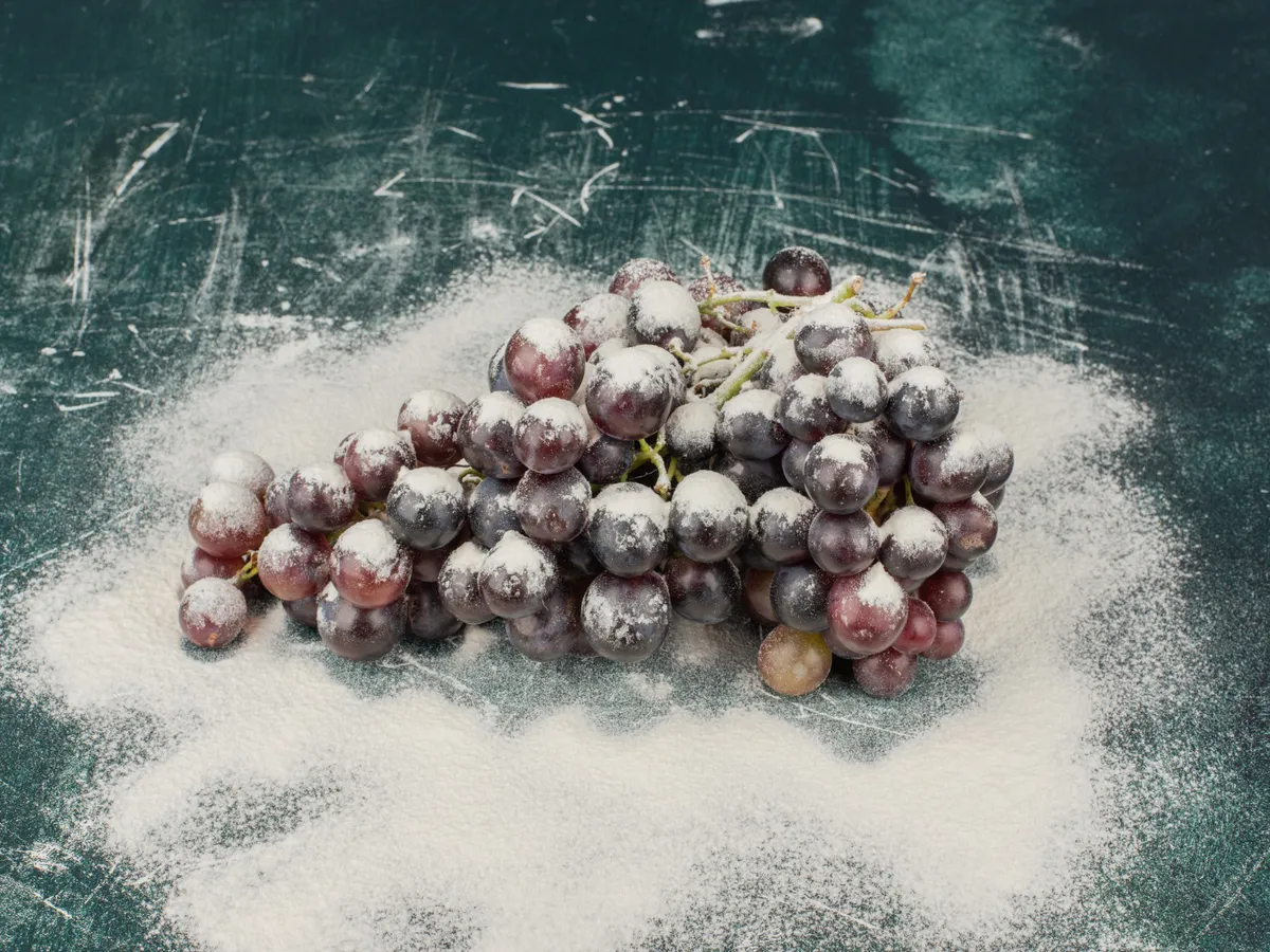 Strugure congelat - Foto: Freepik (rol ilustrativ)