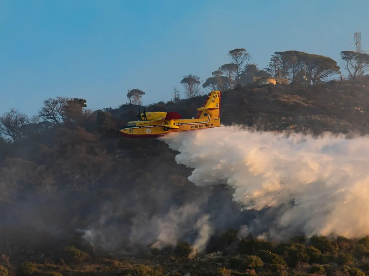 Rusia, campanie de dezinformare despre incendiile din Franța și Spania. „De ce nu pot fi stinse?” - Foto: Profimedia Images (imagine cu  rol ilustrativ)