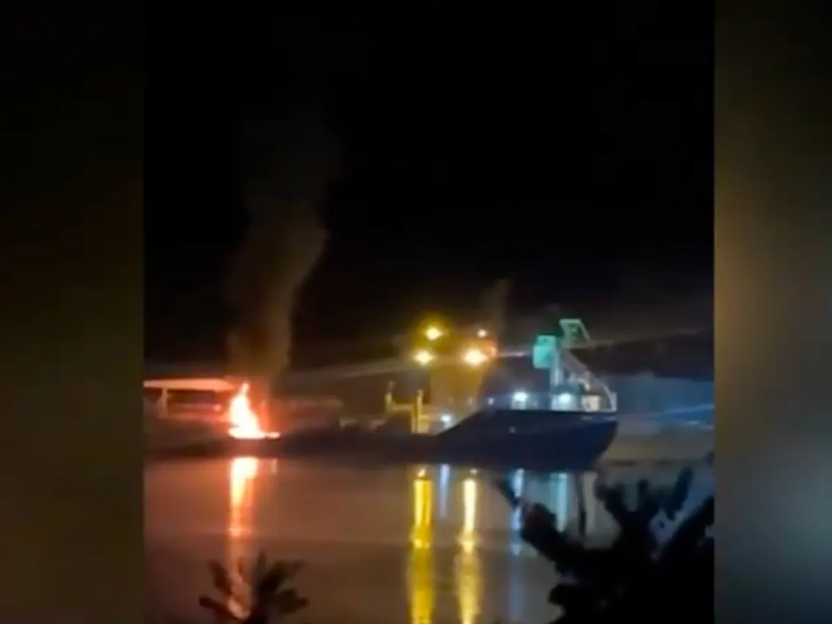 Un cargo ucrainean a luat foc în dreptul localității Plauru, Tulcea - Foto: TVR Info
