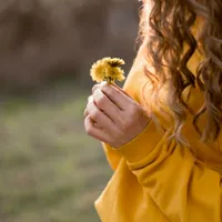 Cum să folosești ceaiul de păpădie pentru păr? Ce trebuie să fierbi - florile, petalele sau tulpina? - Foto: Freepik (Imagine cu rol ilustrativ)