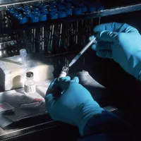 AstraZeneca a cere autorizarea tratamentului său cu anticorpi împotriva Covid-19/FOTO: Pixabay