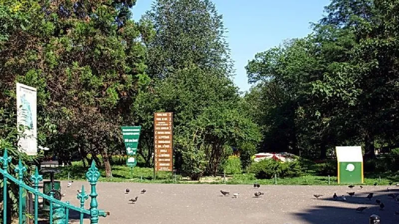 Parcul Cișmigiu, un pericol pentru copii - Foto: Facebook/Parcul Cișmigiu