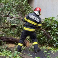 Un pompier intervine în cazul unui copac căzut în București - Foto: ISU B-IF