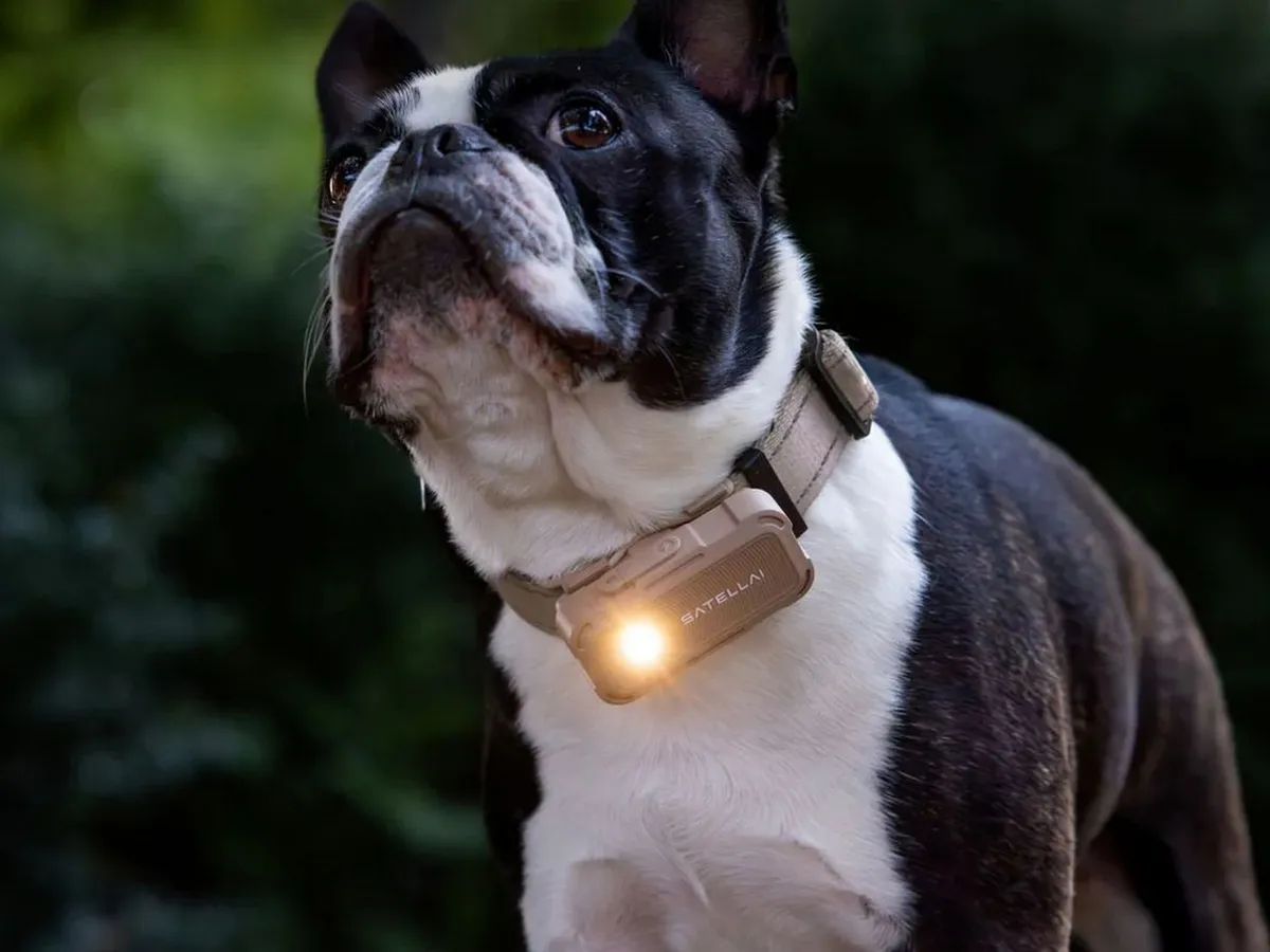 Collar Go - Foto: Satellai