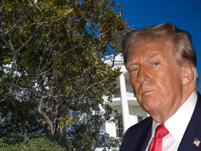 Trump taie celebra "Jackson Magnolia" de la Casa Albă, plantată în 1829 de un fost președinte al SUA - Foto: Profimedia images