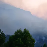 Circa 30 de hectare de vegetaţie şi stufăriş, cuprinse de un incendiu în Prahova - Foto: Profimedia Images (cu rol ilustrativ)