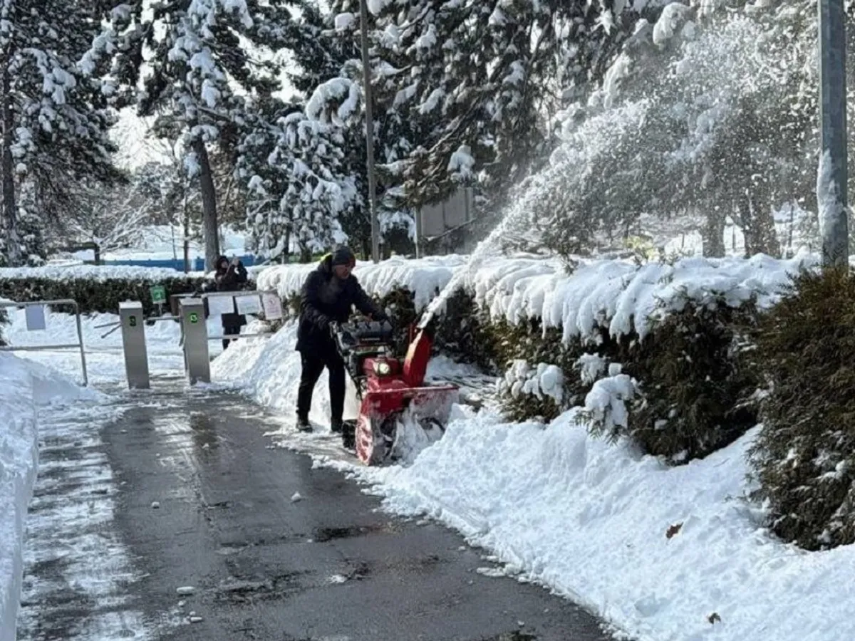 METEO Românii vor avea zăpadă de Crăciun. Sunt anunțate ninsori în cea mai mare parte a ţării