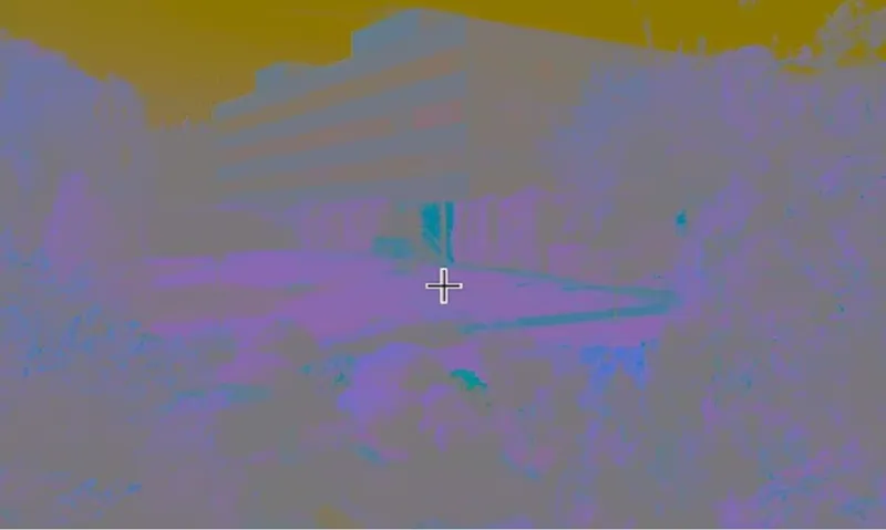 Imagine color - Foto:Dailymail.co.uk