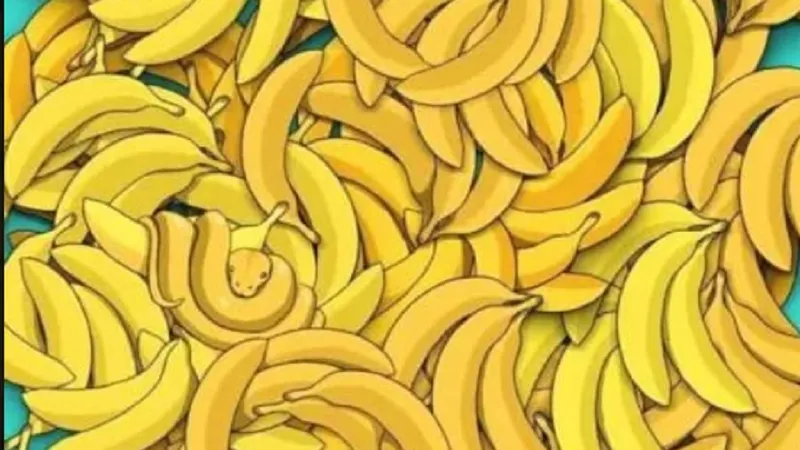 Animalul stă ascuns printre banane Foto: captură jpost.com