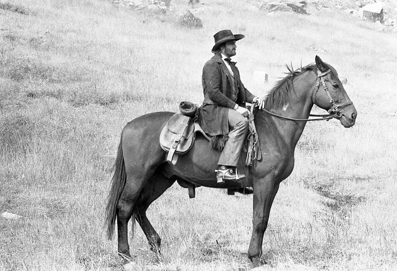 Florin Piersic - Foto: Cineclic