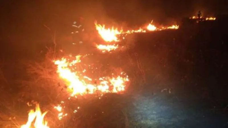 Incendiu puternic în Timiș! Ard 100 de hectare de vegetație uscată. Pompierii se luptă cu flăcările - Foto: ISU Timiș