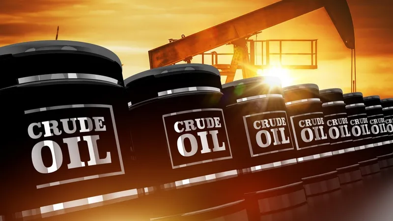 Două țări importante din UE, gata să cumpere petrol rusesc în ciuda sancțiunilor europene - FOTO: Profimedia