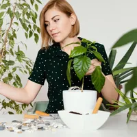 Plantă extraterestră descoperită în zona unui oraș fantomă. Ce spun cercetătorii - Foto: Freepik.com (rol ilustrativ)