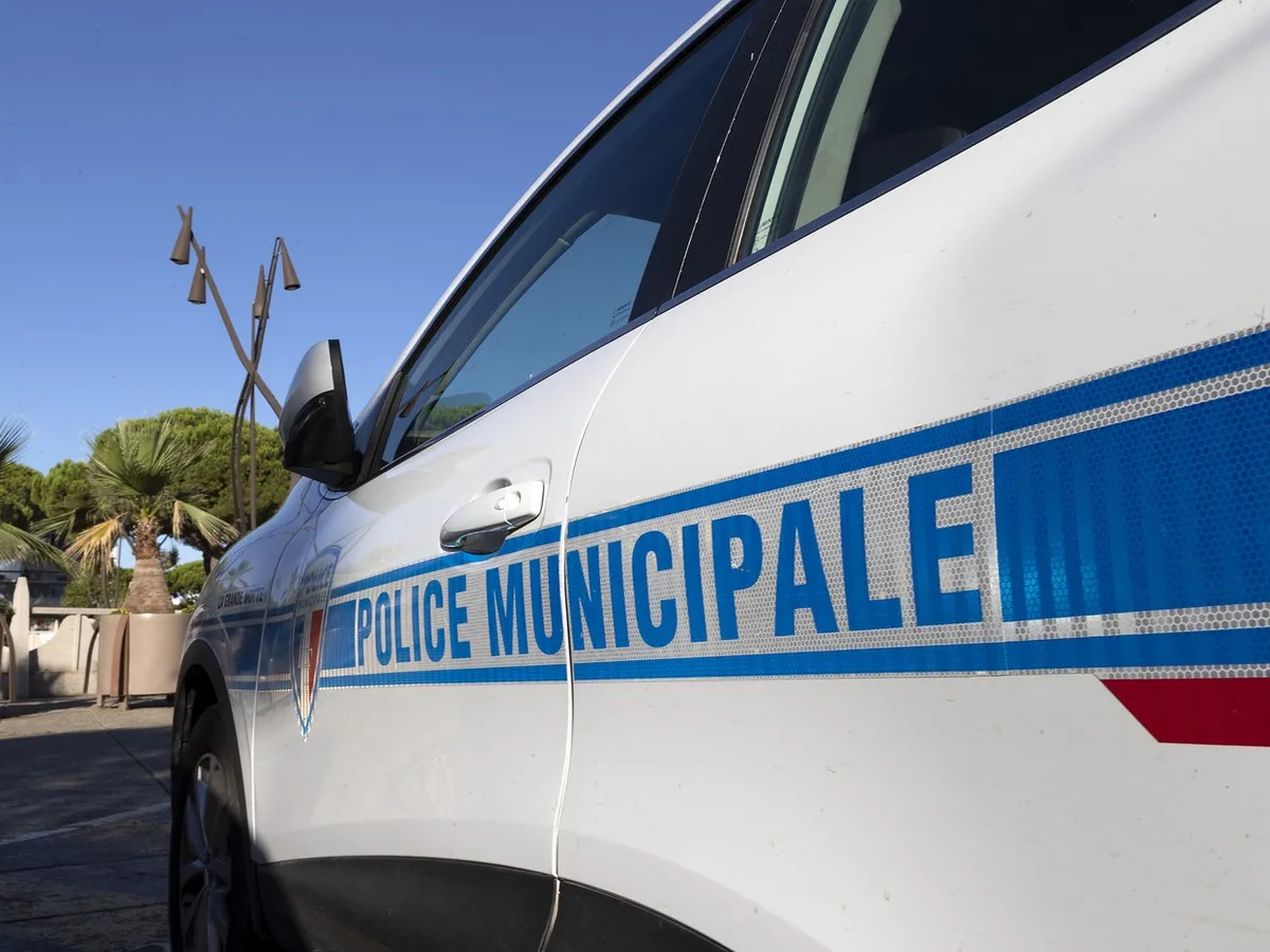 Mașină de Poliție - Foto: Profimedia Images (rol ilustrativ)