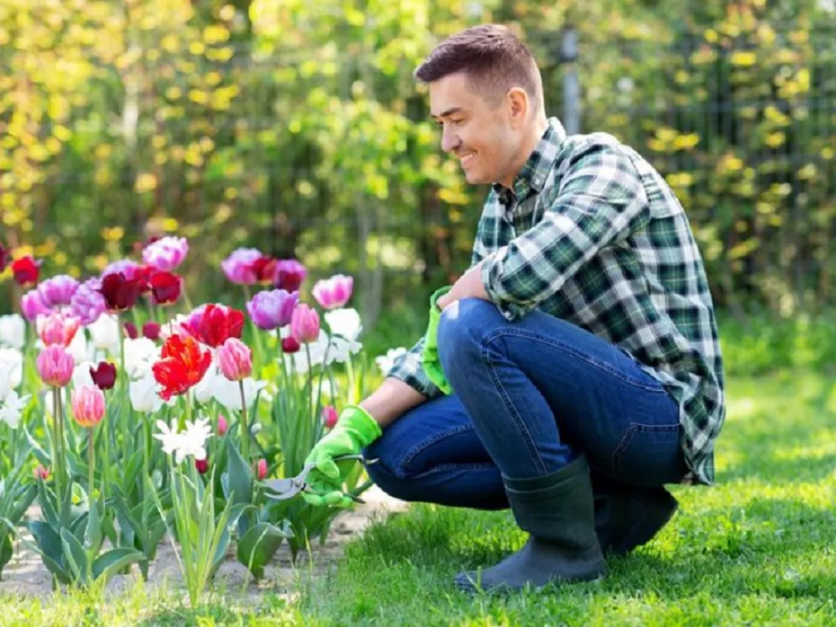 Amendă de 100.000 € dacă ești prins că ai depozitat anumite obiecte în grădină. Par inofensive însă e ilegal