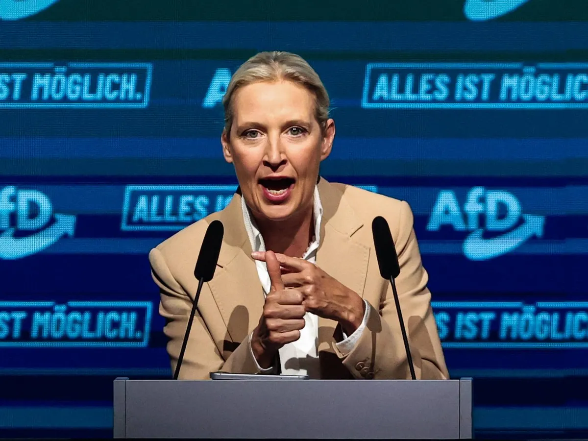 Alice Weidel - Foto: Profimedia images