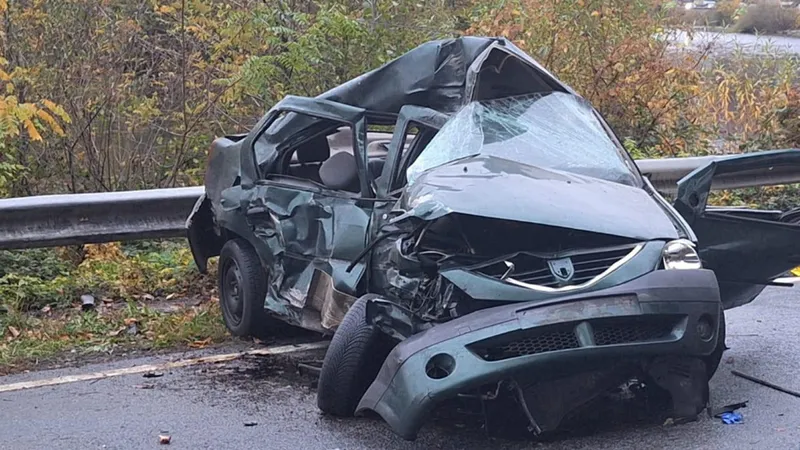 Un TIR a spulberat o Dacia Logan pe DN6, la Orșova. Șoferul mașinii a murit pe loc - Foto: actualmehedinti.ro