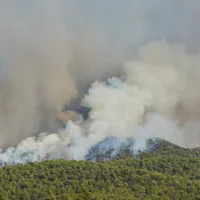 Grecia luptă împotriva incendiului din Evia. Pompierii fac progrese în Creta - Foto: Profimedia Images