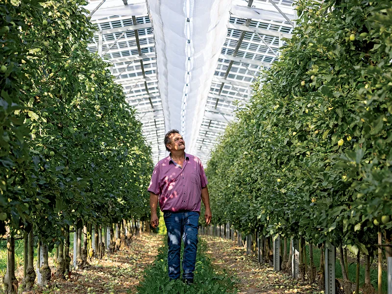 Un fermier german a pus panouri solare în livada sa de mere