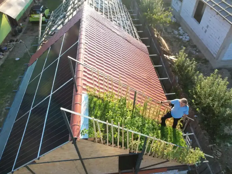VIDEO Panouri fotovoltaice și grădină cu roșii și gogoșari pe acoperiș. A economisit mii de euro - Foto: Ziarul Unirea
