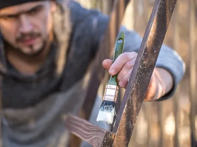 Gardul din grădina ta este umed? Cum să-l usuci natural ca să nu putrezească până la venirea primăverii - Foto: Freepik (rol ilustrativ)