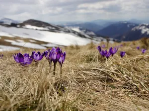 Weekend cu temperaturi de primăvară în toată țara/FOTO: yogascapes.com