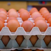 De ce s-au apucat rușii să lingă ouă din supermarket - Foto: Pixabay - cu rol ilustrativ